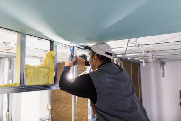 Best Wall Insulation Contractor  in Creedmoor, NC